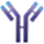 IMVT logo