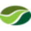 NOW logo