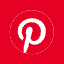PINS logo
