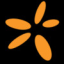 SNN logo