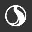 STN logo